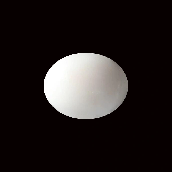 White Coral - 6.00 carats